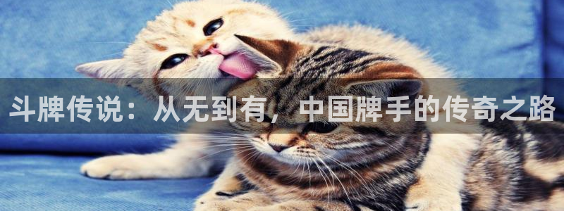 汗汗漫画弹窗