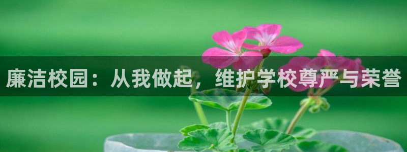汗汗漫画sss在线看