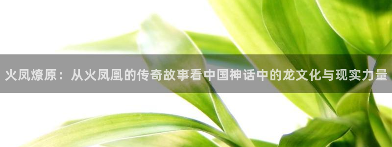 歪歪汗汗漫画网站