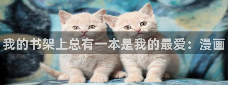 羞羞漫画汗汗漫画入口：我的书架上总有一本是我的最爱：漫画