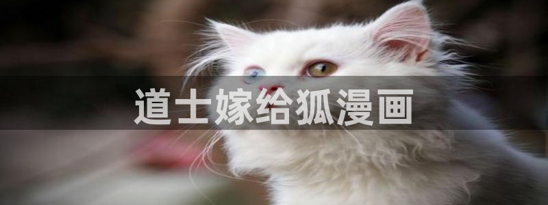 羞羞漫画歪歪汗汗汗漫画原神