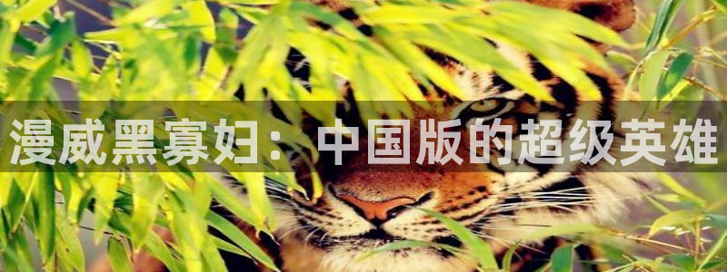 汗汗漫画网站入口