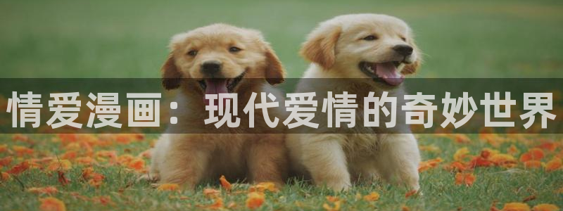 汗汗漫画首页分类